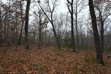 21010 Trailing Vine Ln, Lebanon, MO 65536 - photo 7