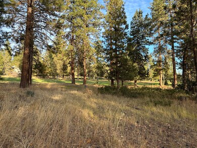 0 Merganser Rd unit Lot 106 220174097, Klamath Falls, OR 97601 - photo 5