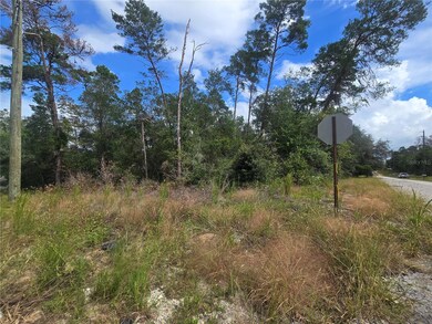 3008 Clearwood St, Inverness, FL 34452 - photo 4