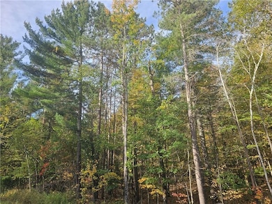 Xxx County Road H, Danbury, WI 54830 - photo 2