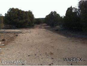 5433 N Kit Fox Trail unit 239, Kingman, AZ 86401 - photo 4