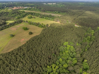 5760 Cobbham Rd, Appling, GA 30802 - photo 5