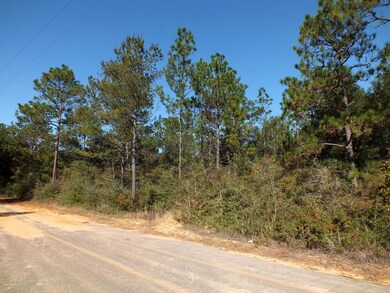 Lot 8 from Stewart Drive 2