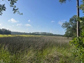 1059 Refuge Point NE, Townsend, GA 31331 - photo 2