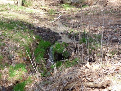 0 Alto Rd unit 342956, Vesuvius, VA 24483 - photo 7