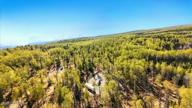 04-Photo_011