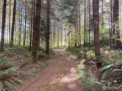 132 xx Algyer Rd SE, Rainier, WA 98576 - photo 6