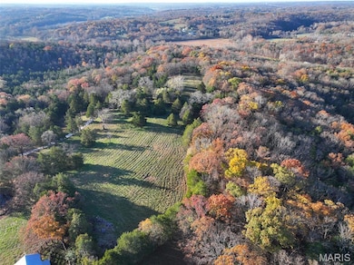 0 Scanlon Dr, de Soto, MO 63020 - photo 3