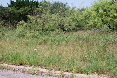 37069 Woodacre Loop, Whitney, TX 76692 - photo 4