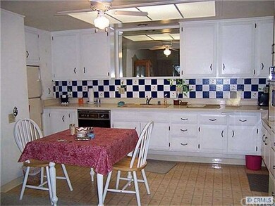 Kitchen shows custom painted Back Splash