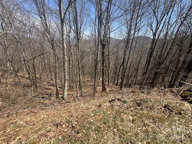 14 & 16 Overlook Dr, Mars Hill, NC 28754 - photo 5