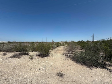 281 Sherman, Del Rio, TX 78840 - photo 5