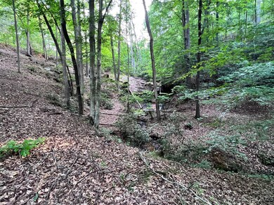 000 Hawks Terrace, Lake Lure, NC 28746 - photo 3