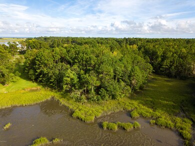3911 E Runnel, Wilmington, NC 28409 - photo 4