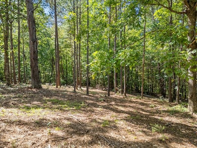 Lot 9 Mooring Line Dr, Seneca, SC 29672 - photo 6