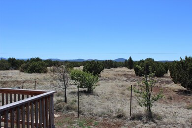 8685 Roundup Dr, Show Low, AZ 85901 - photo 4