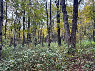 1.5 Graham Rd unit 5, Smyrna, NY 13464 - photo 2