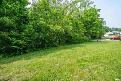 5115 W Harp Hollow Rd, Peoria, IL 61607 - photo 5