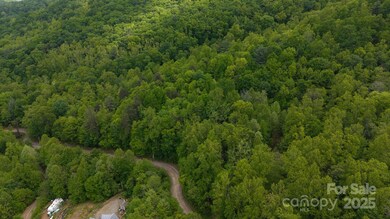 TBD Cove Gap Rd unit multiple lots, Moravian Falls, NC 28654 - photo 6