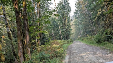 0 Mount Index Dr unit NWM2436664, Index, WA 98256 - photo 2