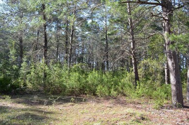 000 Sea Eagle Dr, Keaton Beach, FL 32348 - photo 6