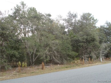 1793 E Humphrey Ln, Hernando, FL 34442 - photo 2