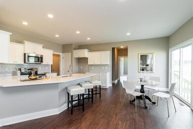 9897 Thorton Dr, Grimes, IA 50111 - photo 6