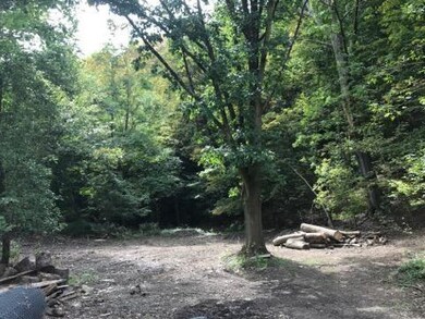 The leaves are coming soon!