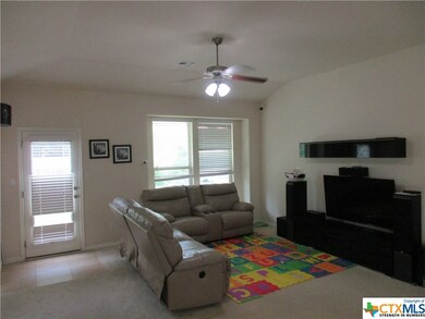 123 Fence Line Dr, San Marcos, TX 78666 - photo 6