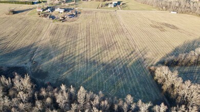 4 Duncan St, Manchester, TN 37355 - photo 6