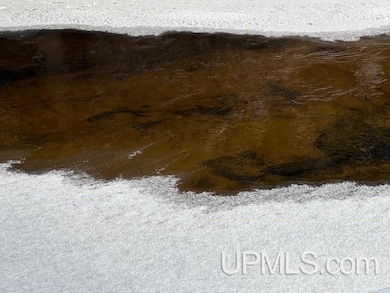 N7228 Rock River Rd, Deerton, MI 49822 - photo 4