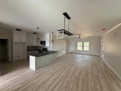 510 Madeleine, Austin, AR 72007 - photo 4