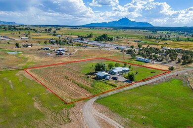 23104 Road N, Cortez, CO 81321 - photo 4