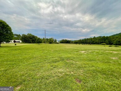 0 Stella Ln unit 10485082, Rabun Gap, GA 30568 - photo 4