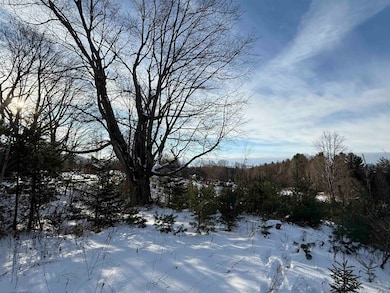 0 Hinman Settler Rd unit 5071718, Brownington, VT 05860 - photo 7