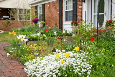 1194 Pinehurst Rd, Staunton, VA 24401 - photo 7