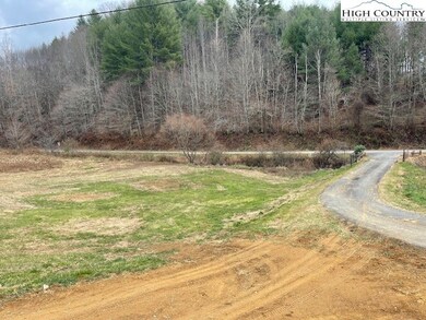 Tbd Laurel Branch Rd, Vilas, NC 28692 - photo 4