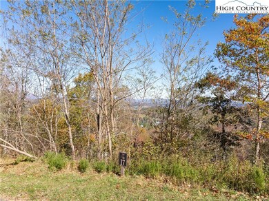 17 Antler Trail, Boone, NC 28607 - photo 3