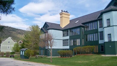 6 Bear Brook Ln unit L-1, Waterville Valley, NH 03215 - photo 4