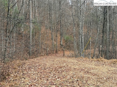 Lot 218 Casey Mountain Rd, Purlear, NC 28665 - photo 5