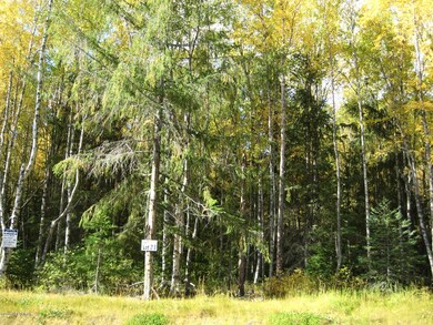 Woods
