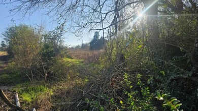 607 Co Rd 134, Garrison, TX 75946 - photo 7