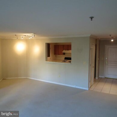 5573 Seminary Rd unit 316, Baileys Crossroads, VA 22041 - photo 4