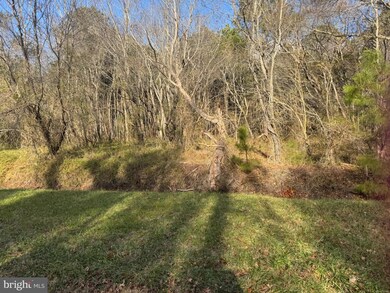 0 Mad Calf Ln unit 321, Nanticoke, MD 21840 - photo 5