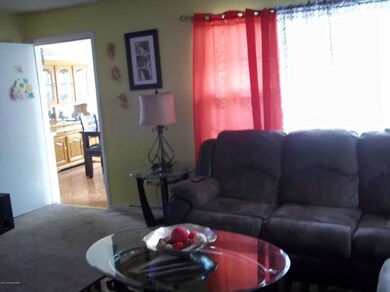 1185 Appenzeller Ave, Stroudsburg, PA 18360 - photo 6