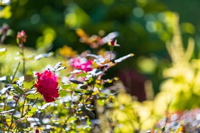 7 Webster Reach, Plymouth, MA 02360 - photo 3