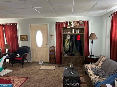 215 8th St SW, Chisholm, MN 55719 - photo 3