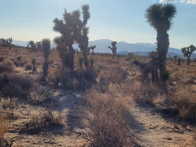 1 Mojave-Tropico Rd, Rosamond, CA 93560 - photo 2