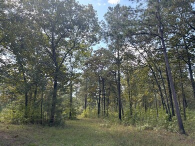 woods 3