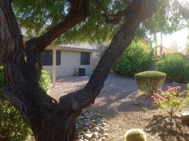 Backyard 2.